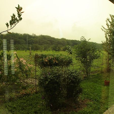 Countryside B&B Ruisui Room photo